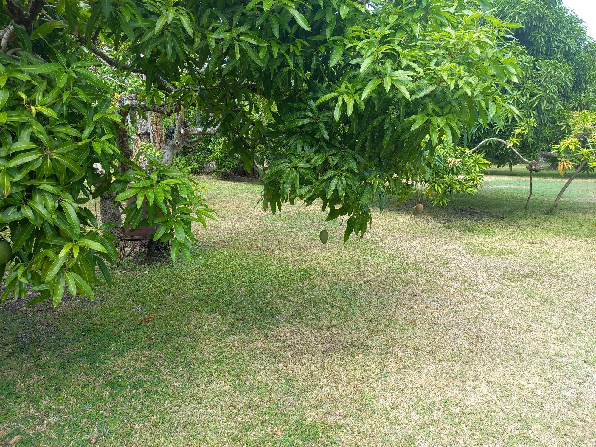 House For Sale: TOWER HILL, TOWER ISLE, Tower Isle | $900,000 photo 10