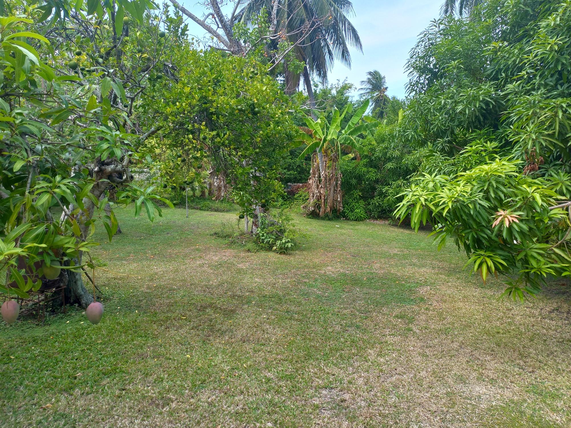 House For Sale: TOWER HILL, TOWER ISLE, Tower Isle | $900,000 photo 11