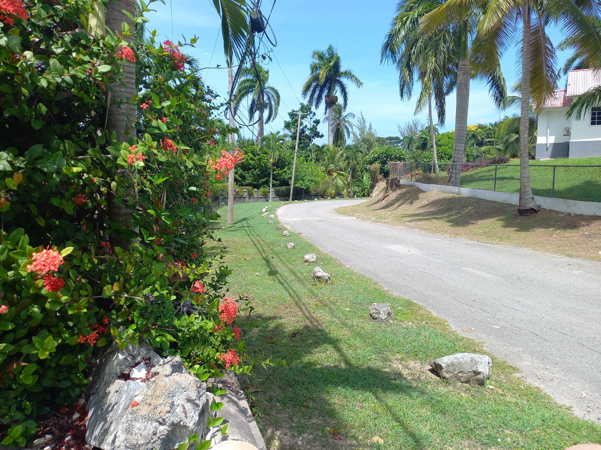 House For Sale: TOWER HILL, TOWER ISLE, Tower Isle | $900,000 photo 18