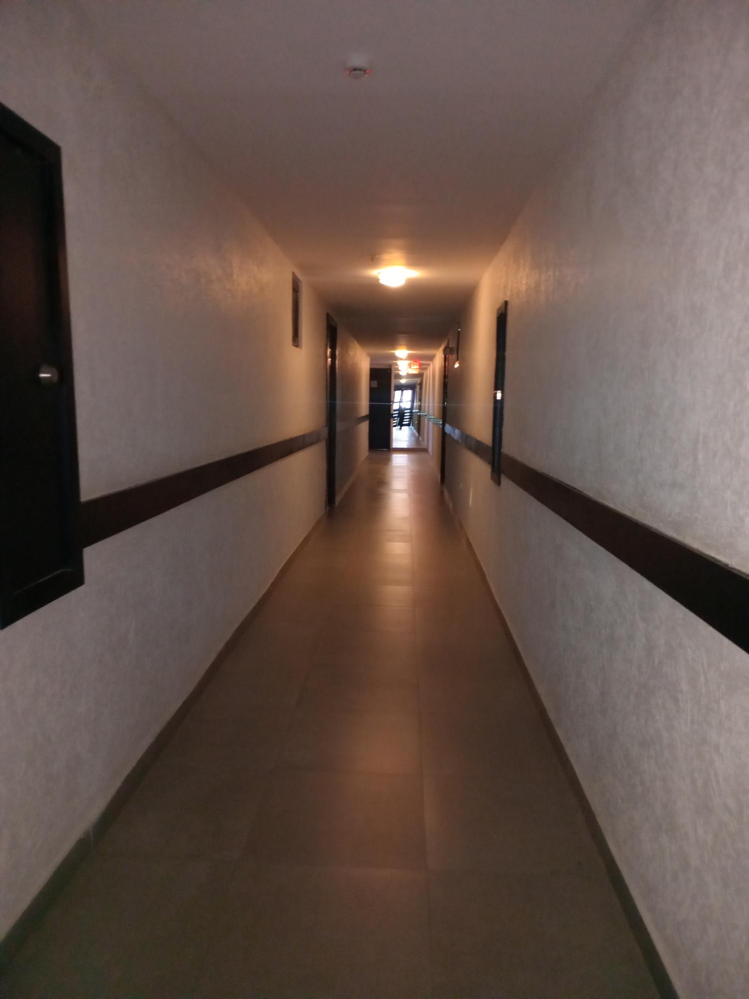 Apartment For Rent: WATERLOO AVENUE, Kingston 10 | $2,400 photo 15