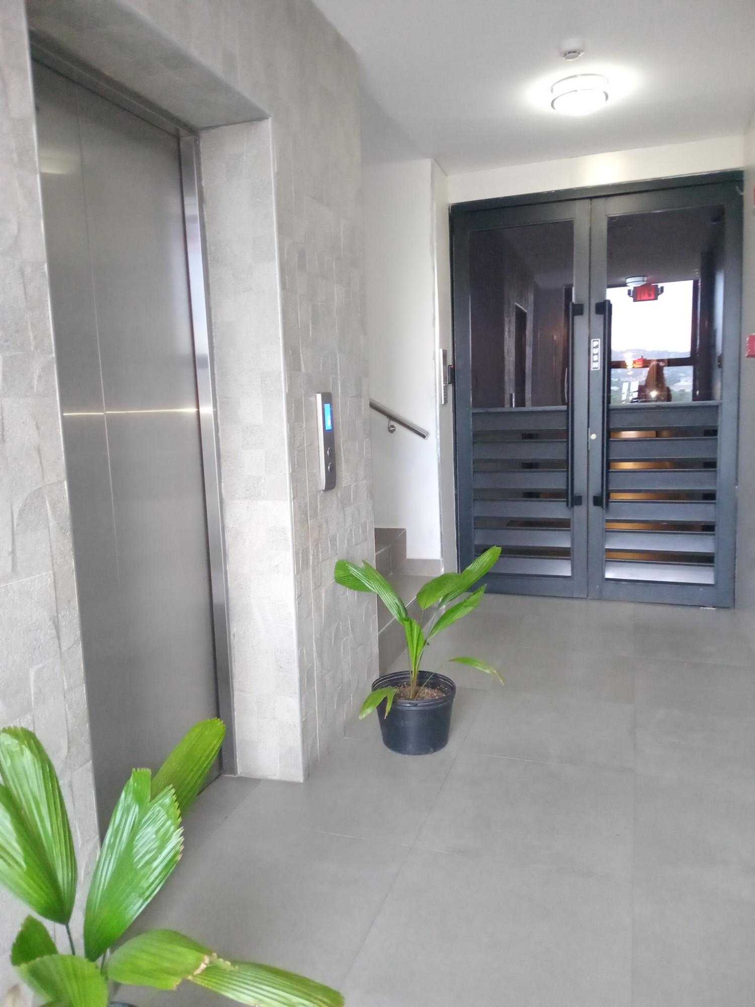 Apartment For Rent: WATERLOO AVENUE, Kingston 10 | $2,400 photo 16