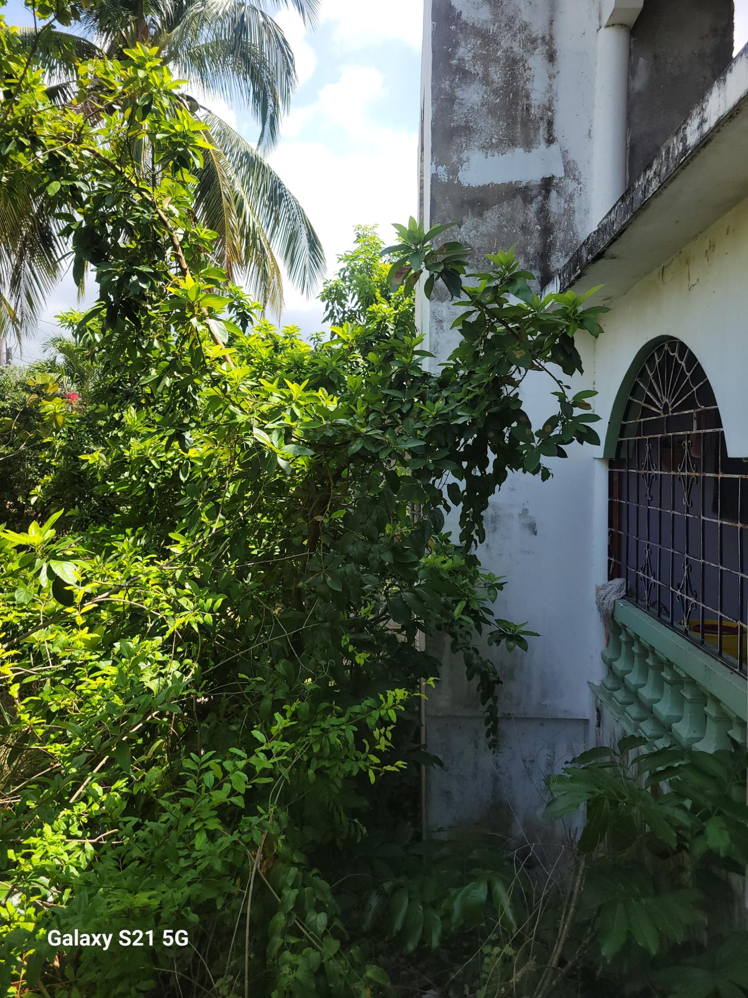 House For Sale: MOUNT VIEW ESTATE, Spanish Town | $37,000,000 photo 9