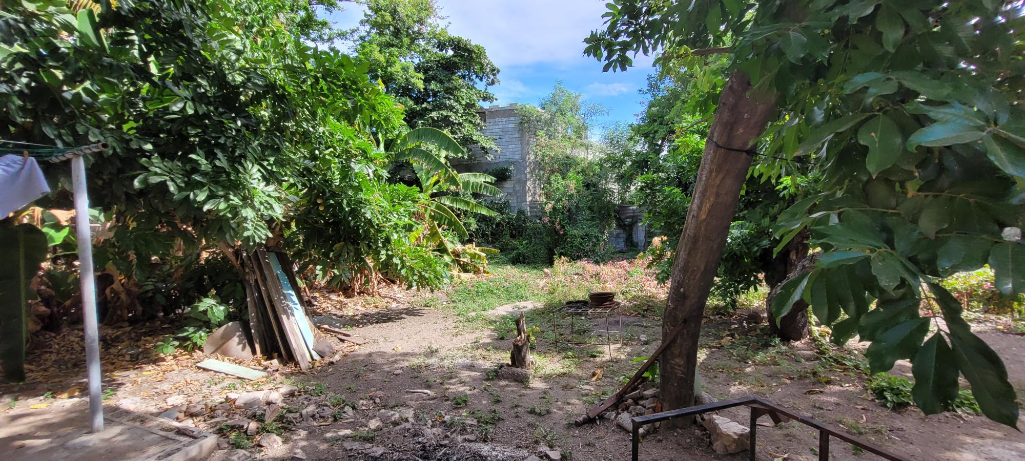 House For Sale: LINCOLN ROAD, Kingston 5 | $70,000,000 photo 10