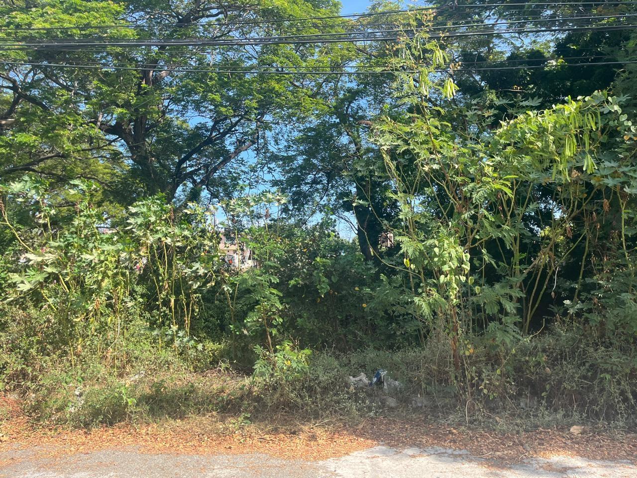 House For Sale: EAST ASCOT, 12 NORTH EAST, Greater Portmore | $28,000,000 photo 22