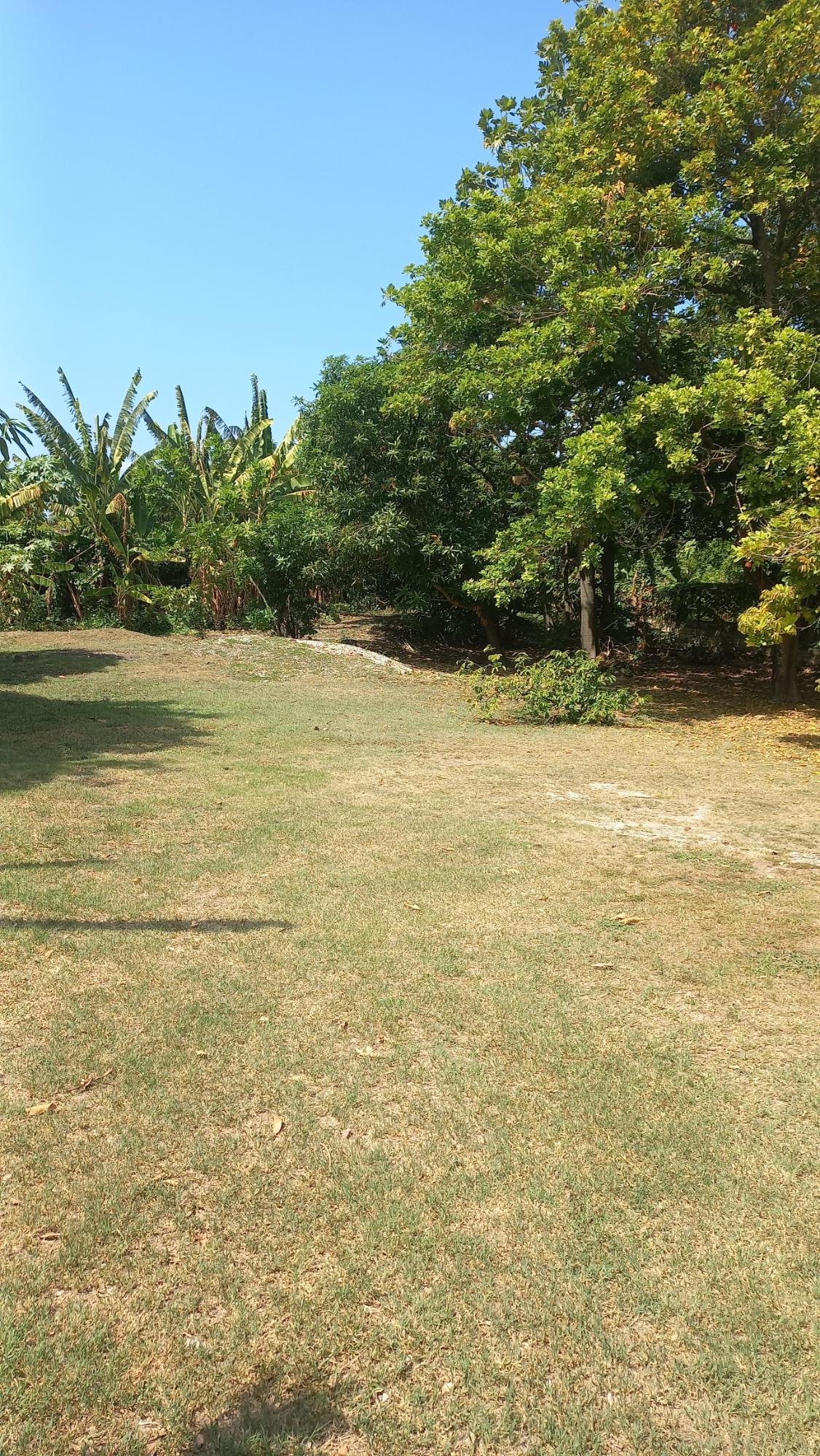 House For Rent: KNIGHTSDALE DRIVE, KINGST, Kingston 19 | $165,000 photo 10