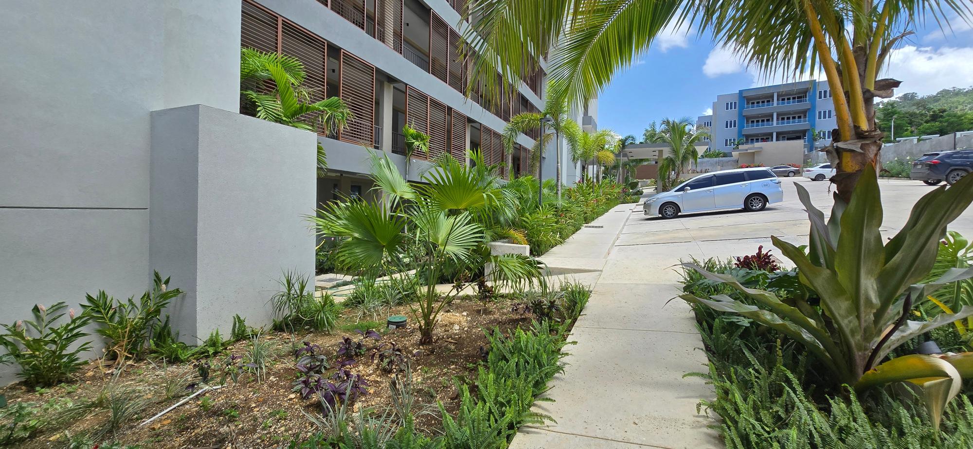 Apartment For Rent: PART OF READING PEN, ST J, Reading | $350,000 photo 2