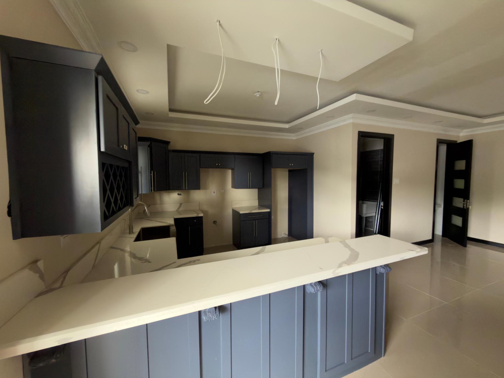 Apartment For Sale: DARLINGTON AVENUE, Kingston 8 | $46,500,000 photo 4