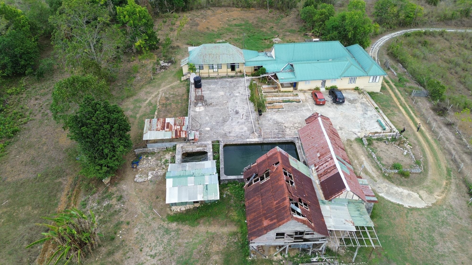 House For Sale: GRIERFIELD GREAT HOUSE, Moneague | $85,000,000