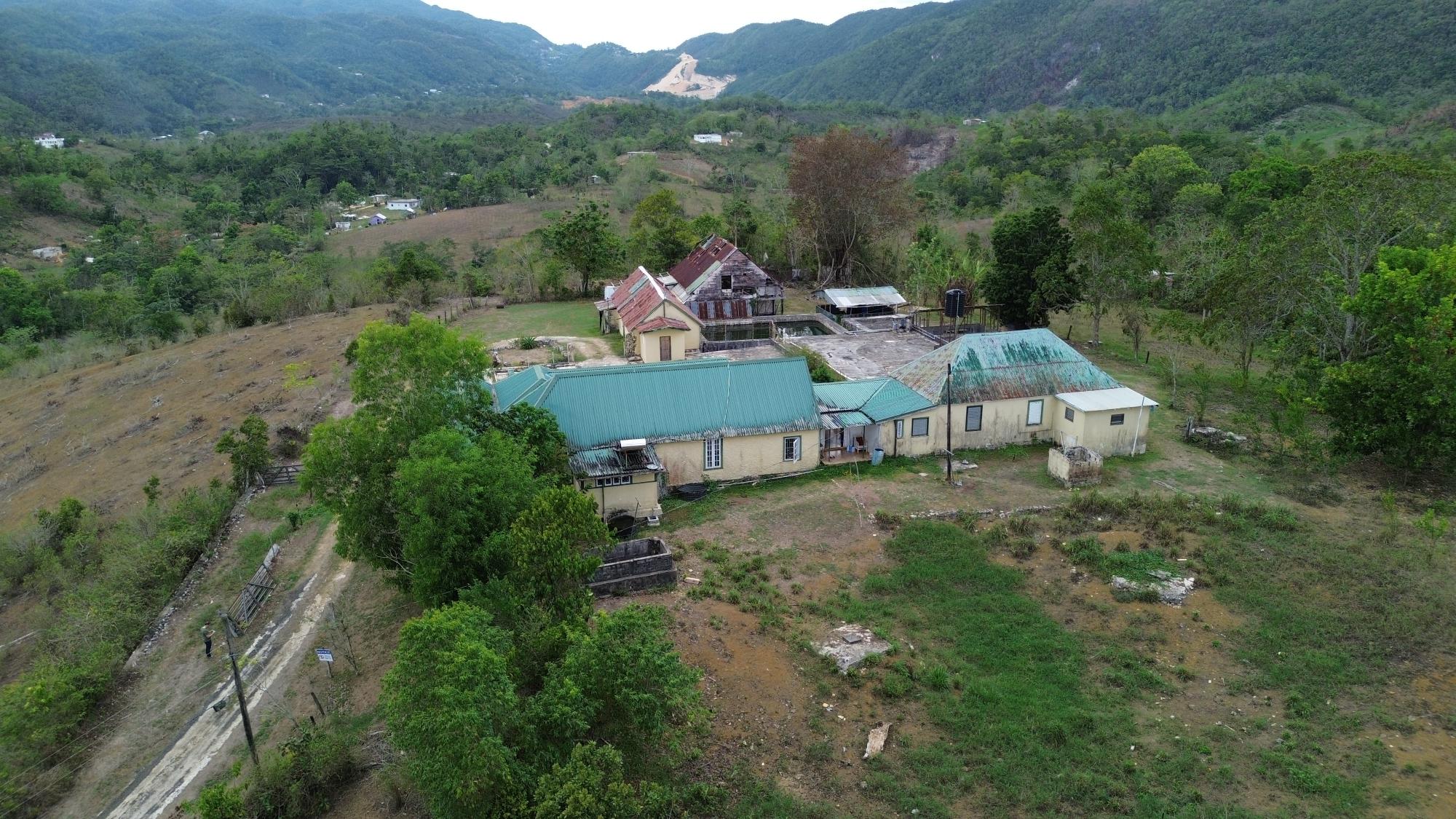 House For Sale: GRIERFIELD GREAT HOUSE, Moneague | $85,000,000 photo 7