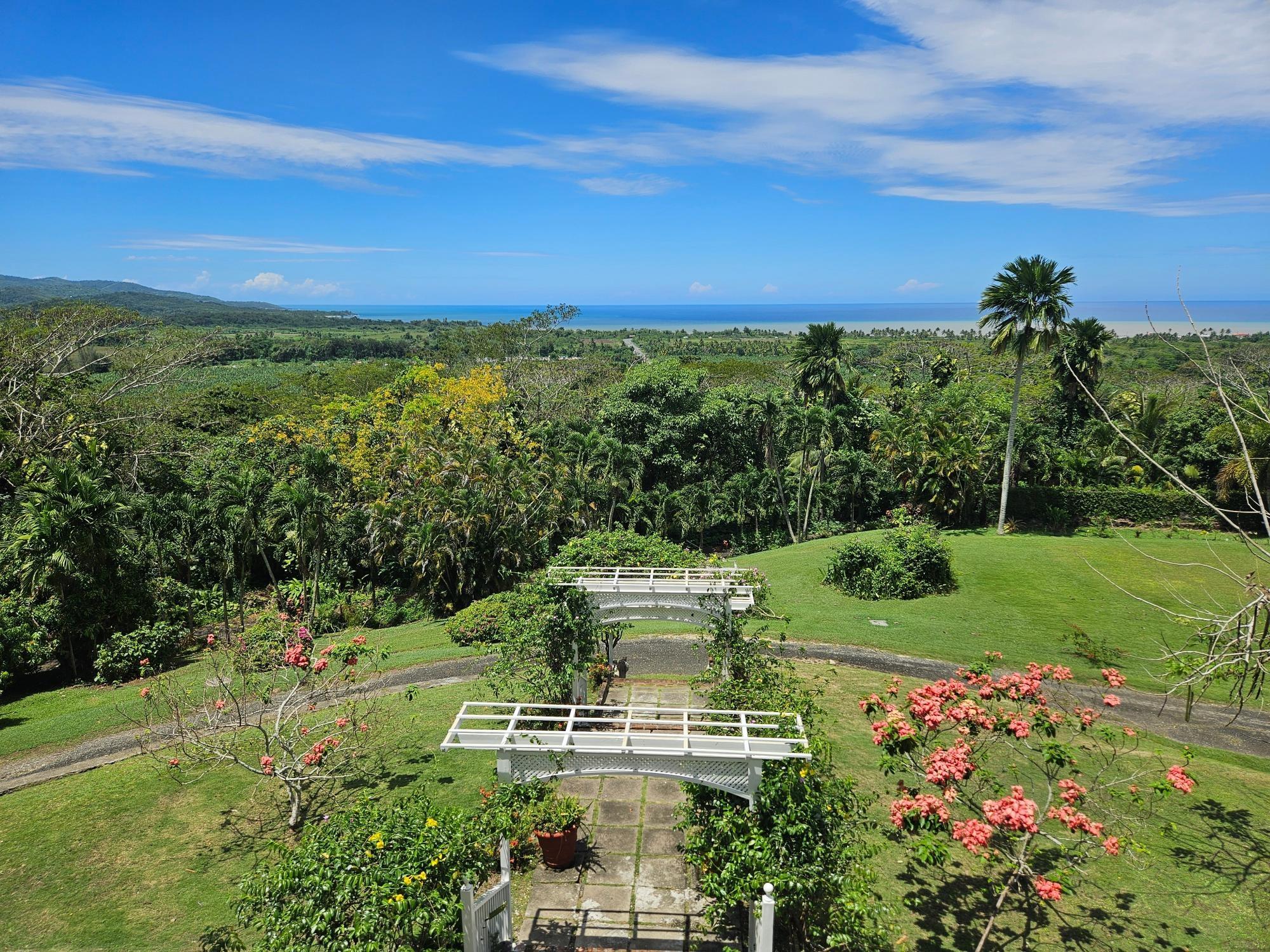 House For Sale: MAIN STREET ANNOTO BAY, Annotto Bay | $3,400,000 photo 2