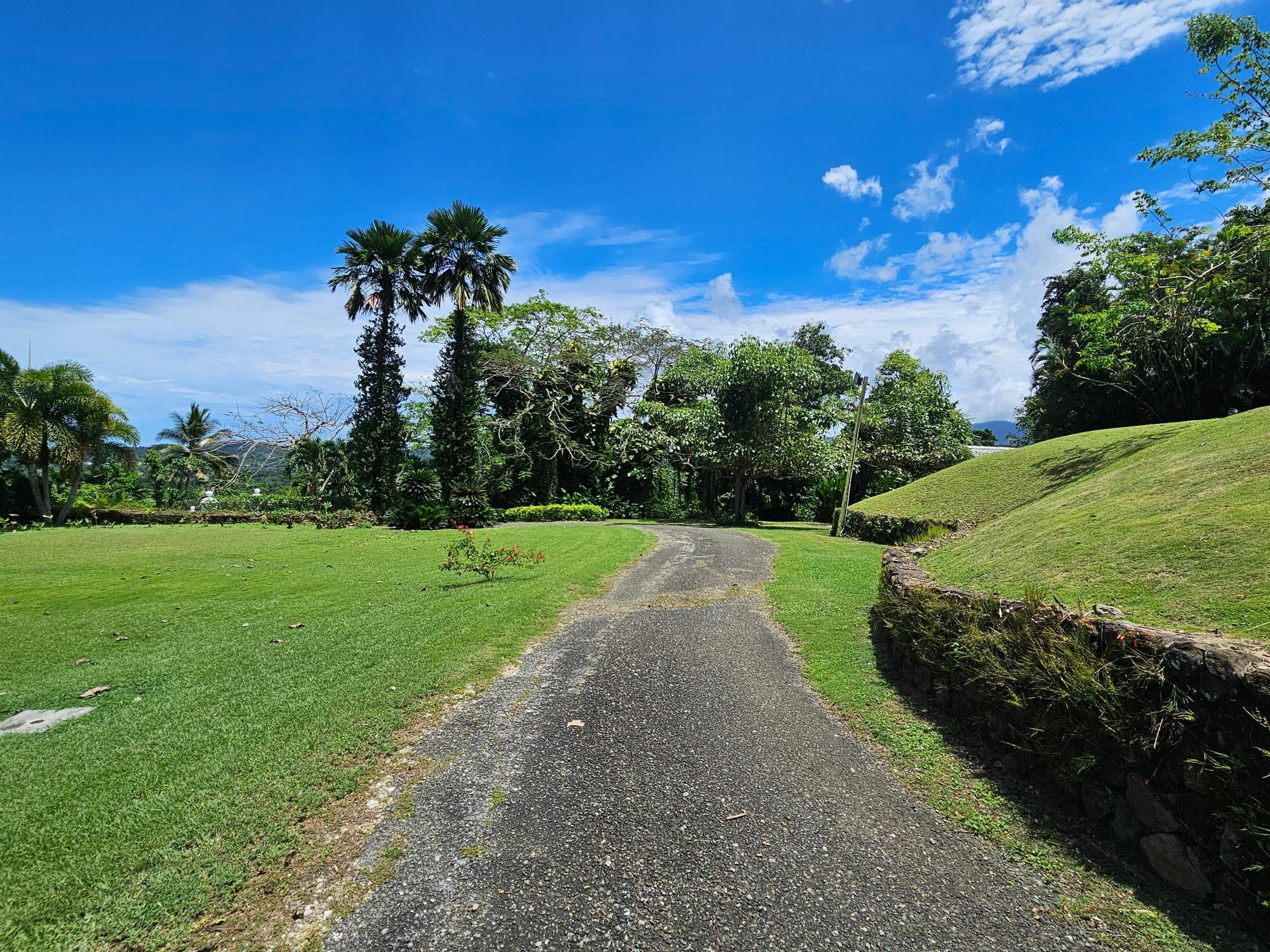 House For Sale: MAIN STREET ANNOTO BAY, Annotto Bay | $3,400,000 photo 5