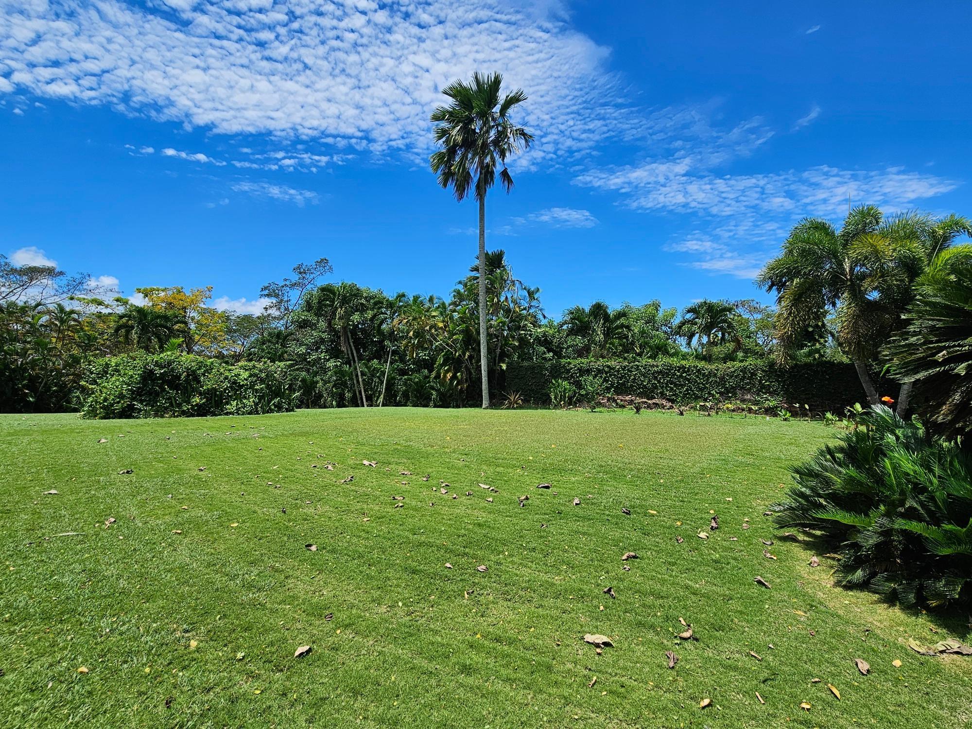 House For Sale: MAIN STREET ANNOTO BAY, Annotto Bay | $3,400,000 photo 8