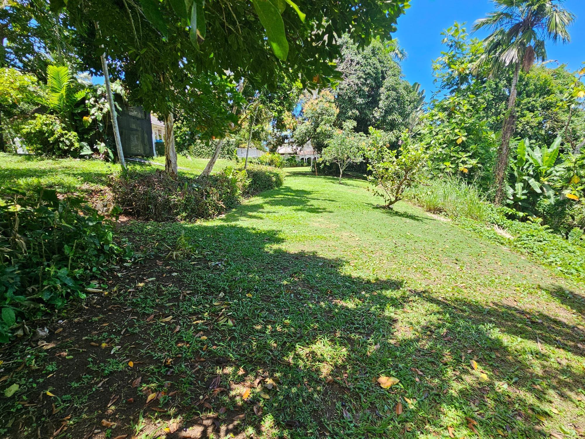 House For Sale: MAIN STREET ANNOTO BAY, Annotto Bay | $3,400,000 photo 11