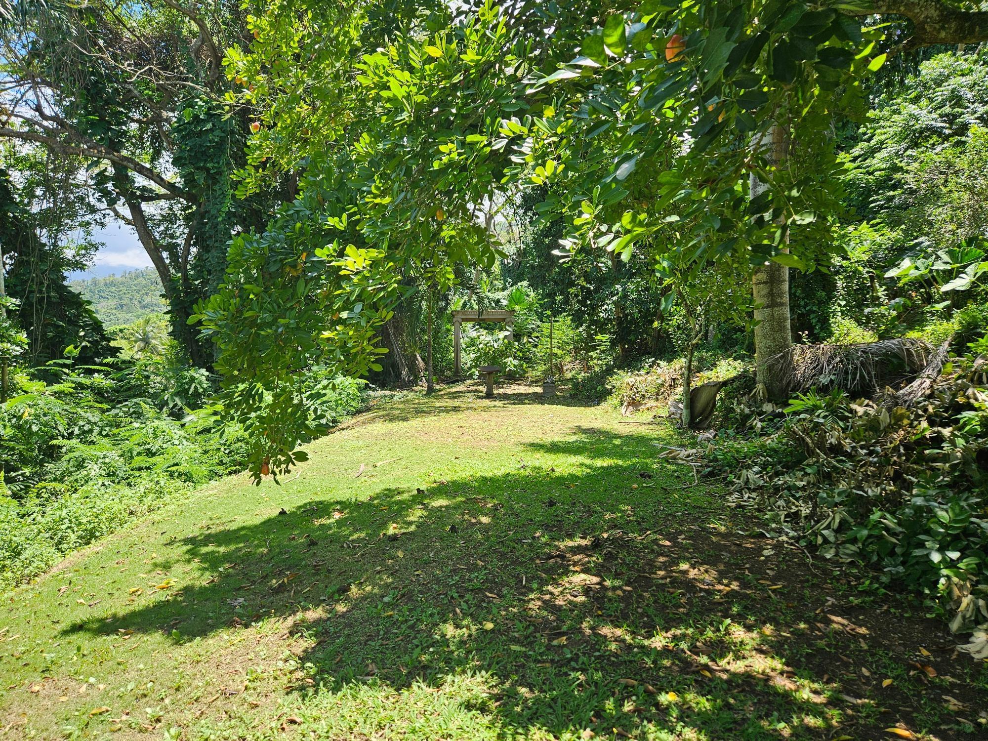 House For Sale: MAIN STREET ANNOTO BAY, Annotto Bay | $3,400,000 photo 12