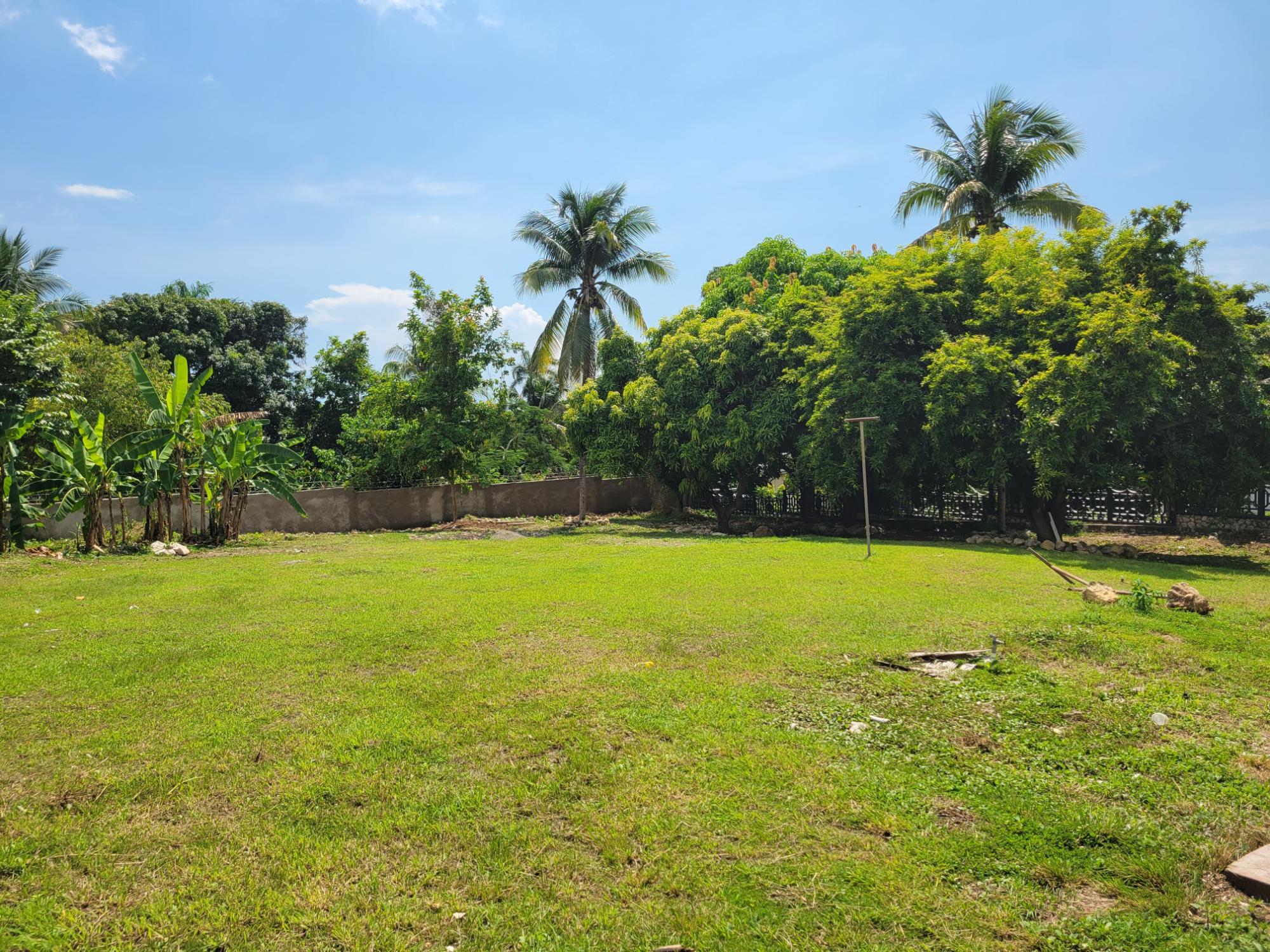 House For Rent: MILLSBOROUGH CRESCENT, Kingston 6 | $4,000 photo 4