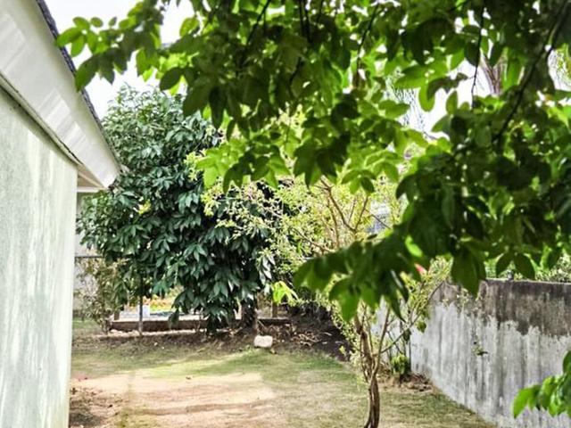 House For Sale: GARDENIA AVENUE, St. Ann@~apos;s Bay | $450,000 photo 20