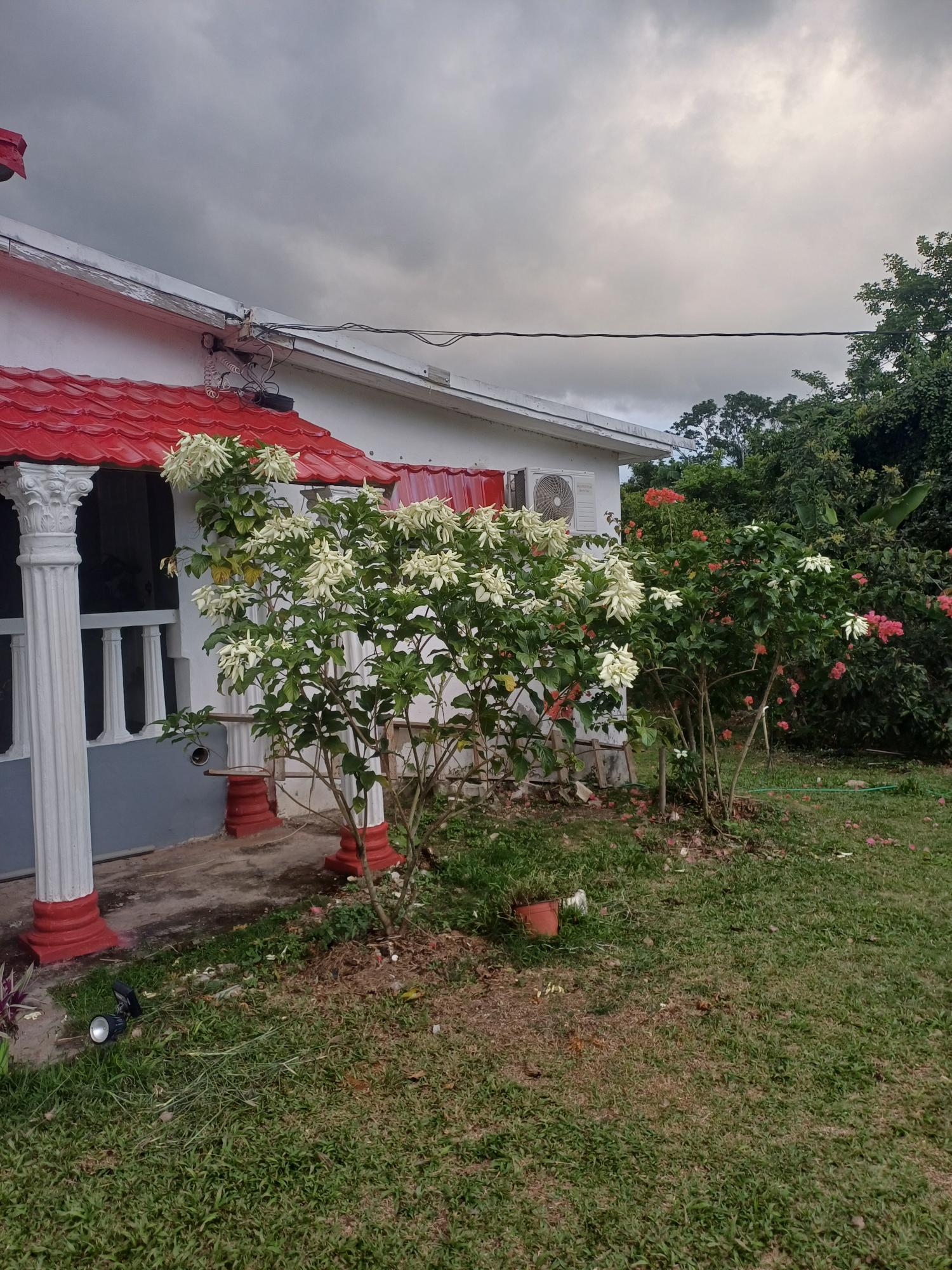 House For Sale: LINSTEAD WAKEFIELD, Linstead | $18,000,000 photo 2