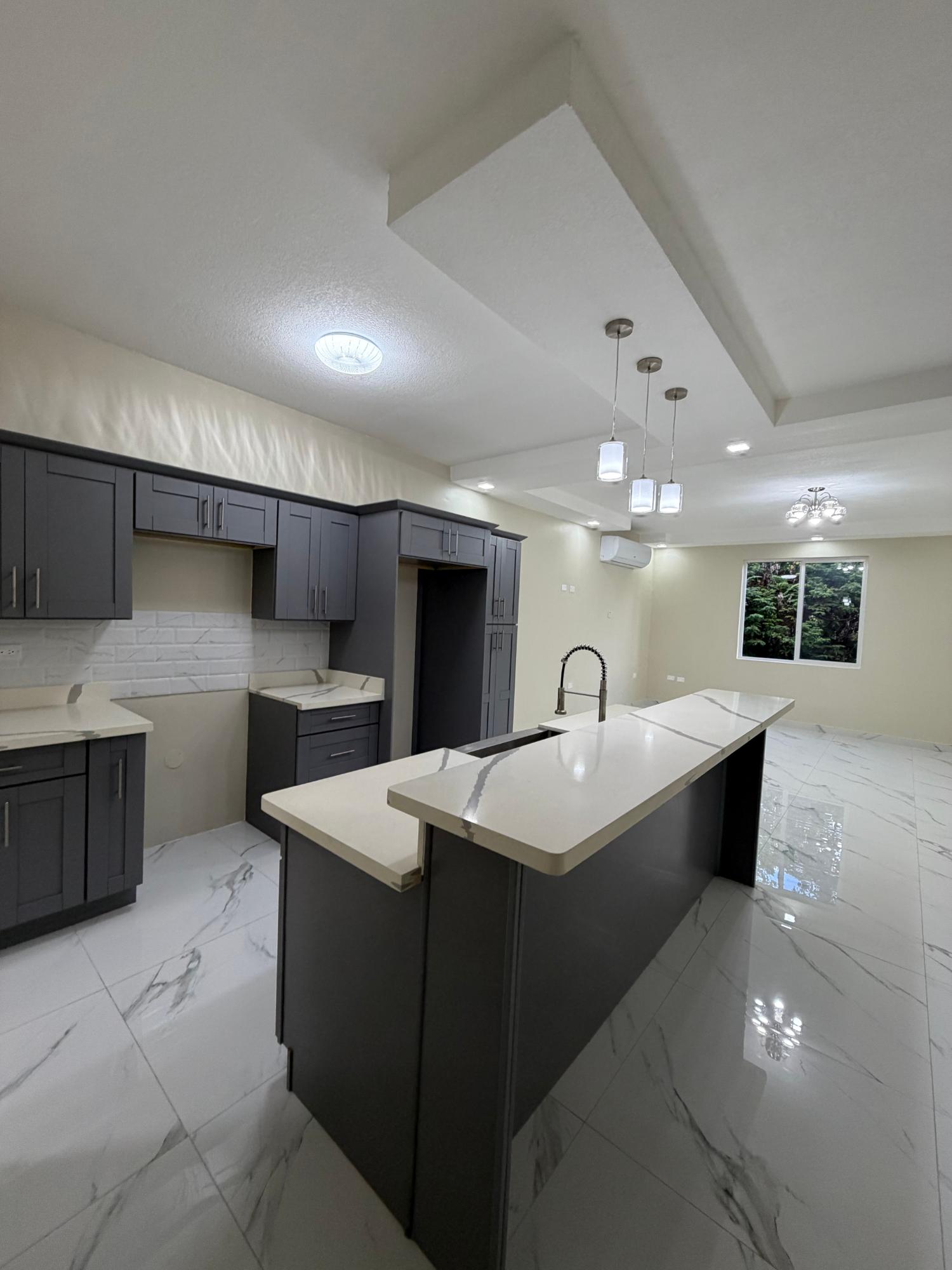 Apartment For Rent: NORBROOK DRIVE, Kingston 8 | $1,800 photo 4