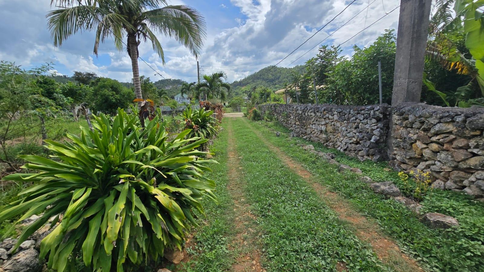 House For Sale: BARNSTAPLE, JACKSON TOWN, Jackson Town | $65,000,000 photo 23