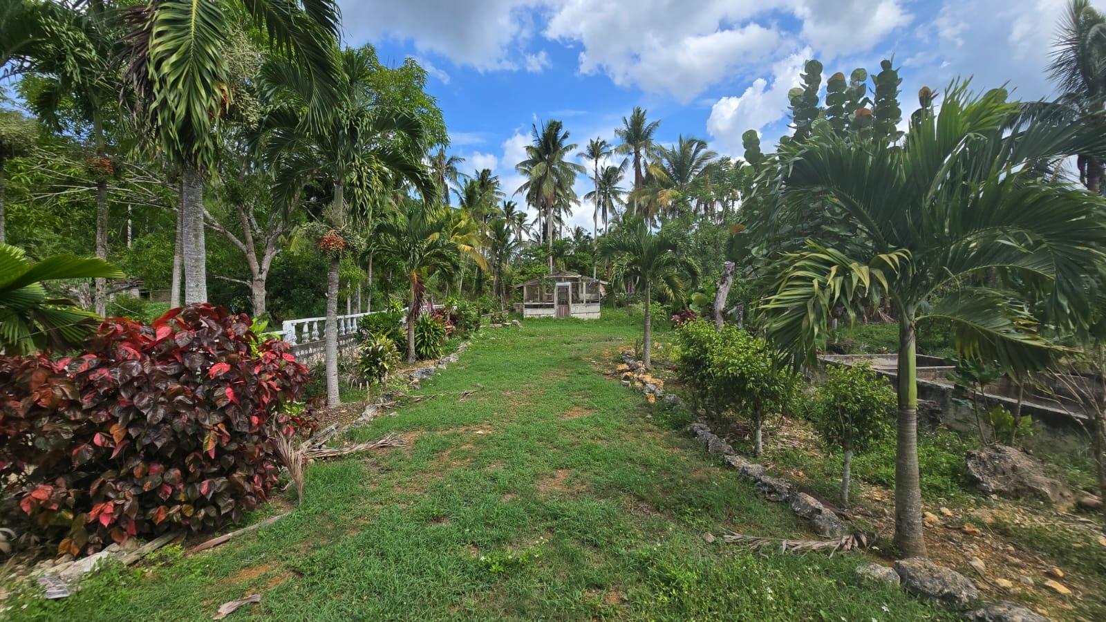 House For Sale: BARNSTAPLE, JACKSON TOWN, Jackson Town | $65,000,000 photo 24