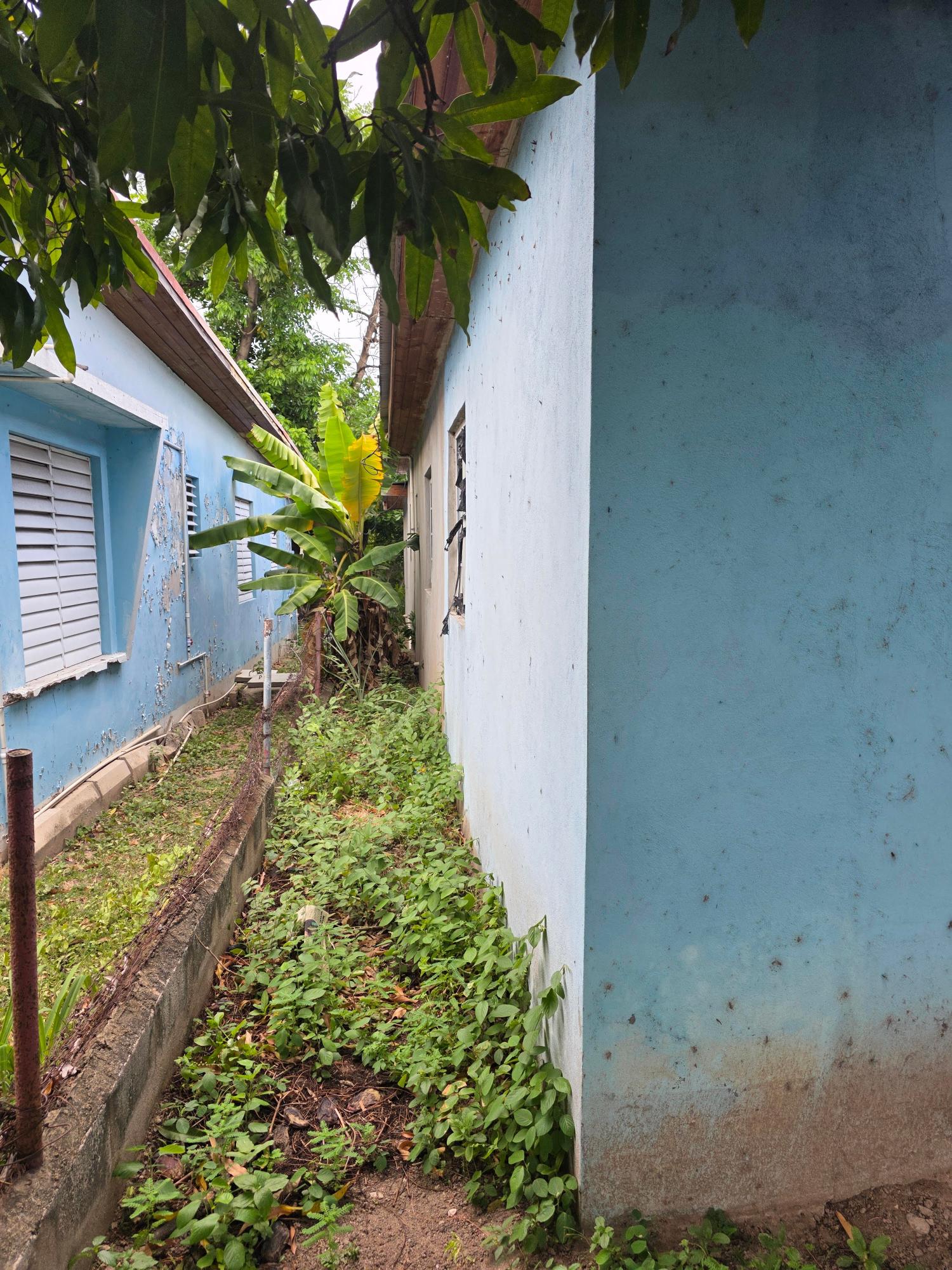 House For Sale: GILMORE DRIVE, KGN 20, Kingston 20 | $35,000,000 photo 12