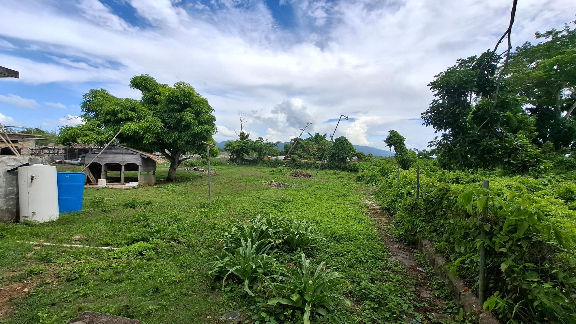 House For Sale: LAND PART OF SMITHFIELD, Savanna-La-Mar | $14,000,000 photo 13