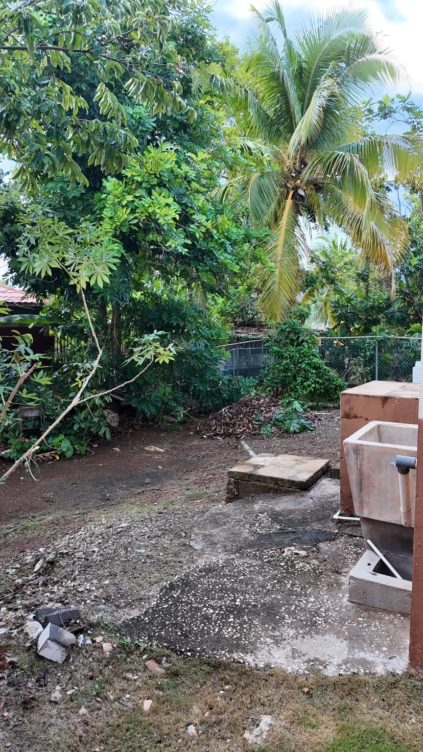 House For Sale: KRONE AVEUE, Colbeck | $17,500,000 photo 15