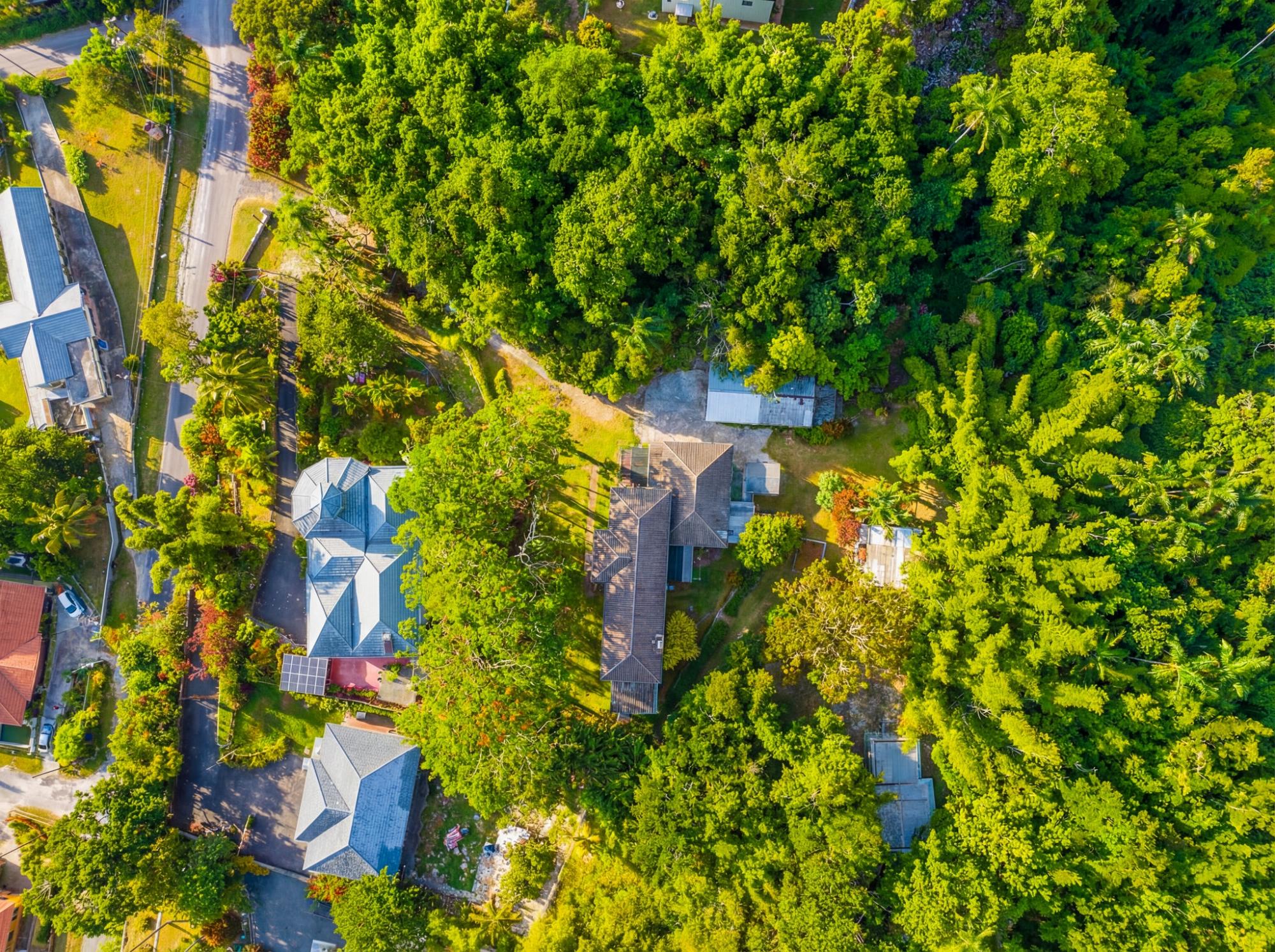 House For Sale: BALVENIE HEIGHTS, Mandeville | $690,000 photo 2