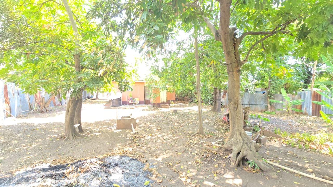 House For Sale: FIRST AVENUE, Kingston 3 | $35,000,000 photo 6