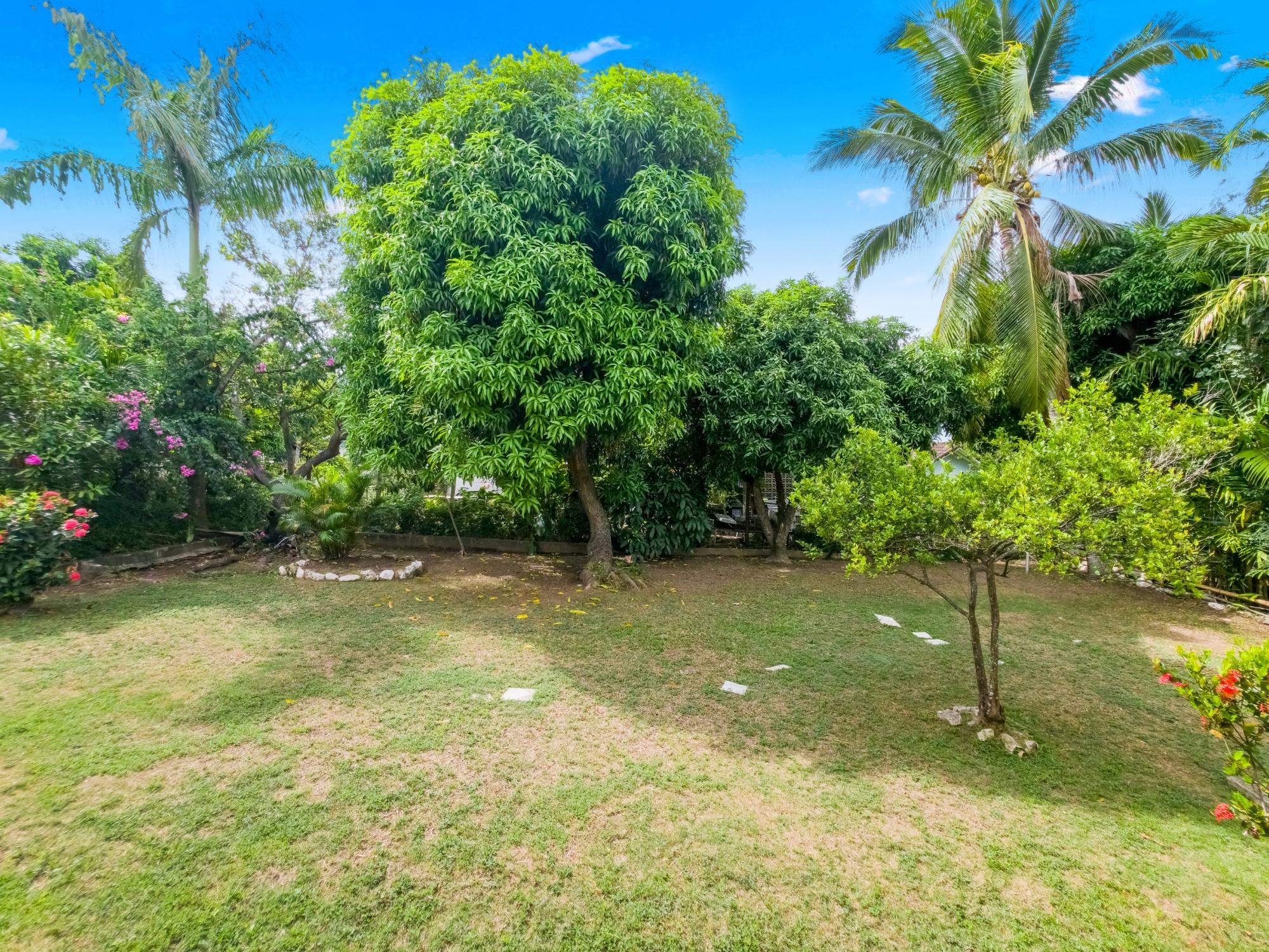 House For Rent: ORANGE CRESCENT, Stony Hill P.O. | $2,500 photo 23
