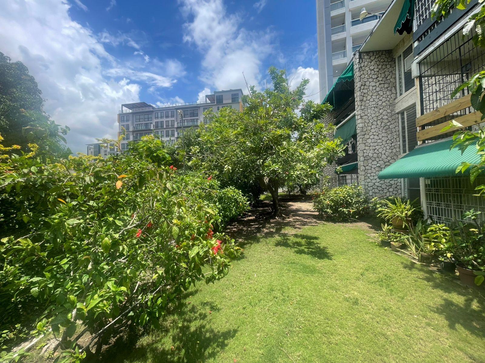 Apartment For Rent: WATERLOO AVENUE, Kingston 10 | $100,000 photo 12