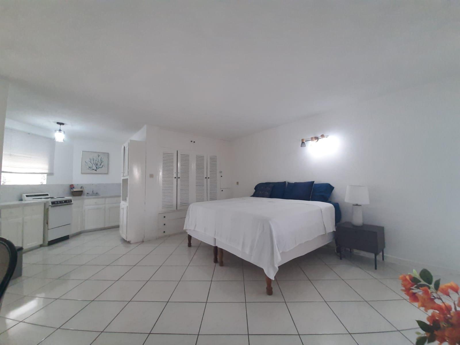 Apartment For Rent: MUSGRAVE AVENUE, KINGSTON, Kingston 5 | $120,000 photo 13
