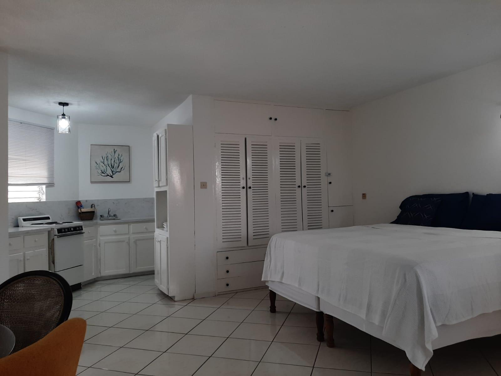 Apartment For Rent: MUSGRAVE AVENUE, KINGSTON, Kingston 5 | $120,000 photo 14