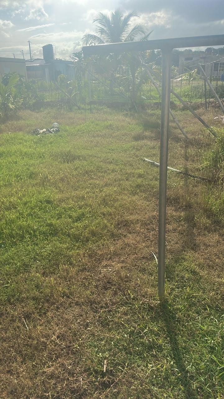 House For Sale: WINCHESTER GREEN ISLAND, Green Island | $15,000,000 photo 5