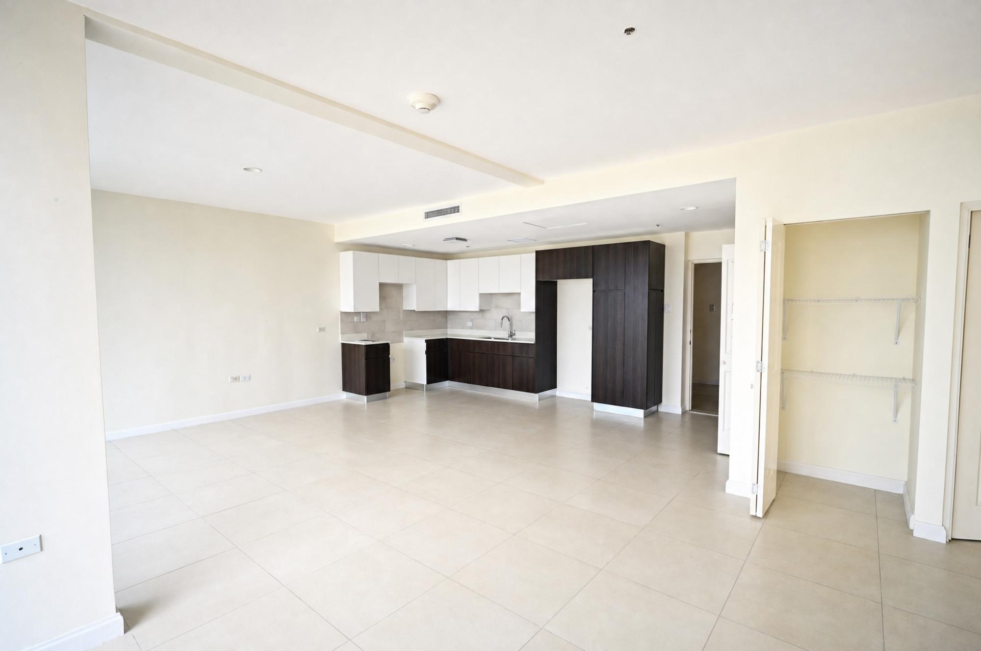 Apartment For Sale: MUSGRAVE AVENUE, Kingston 5 | $46,000,000 photo 5