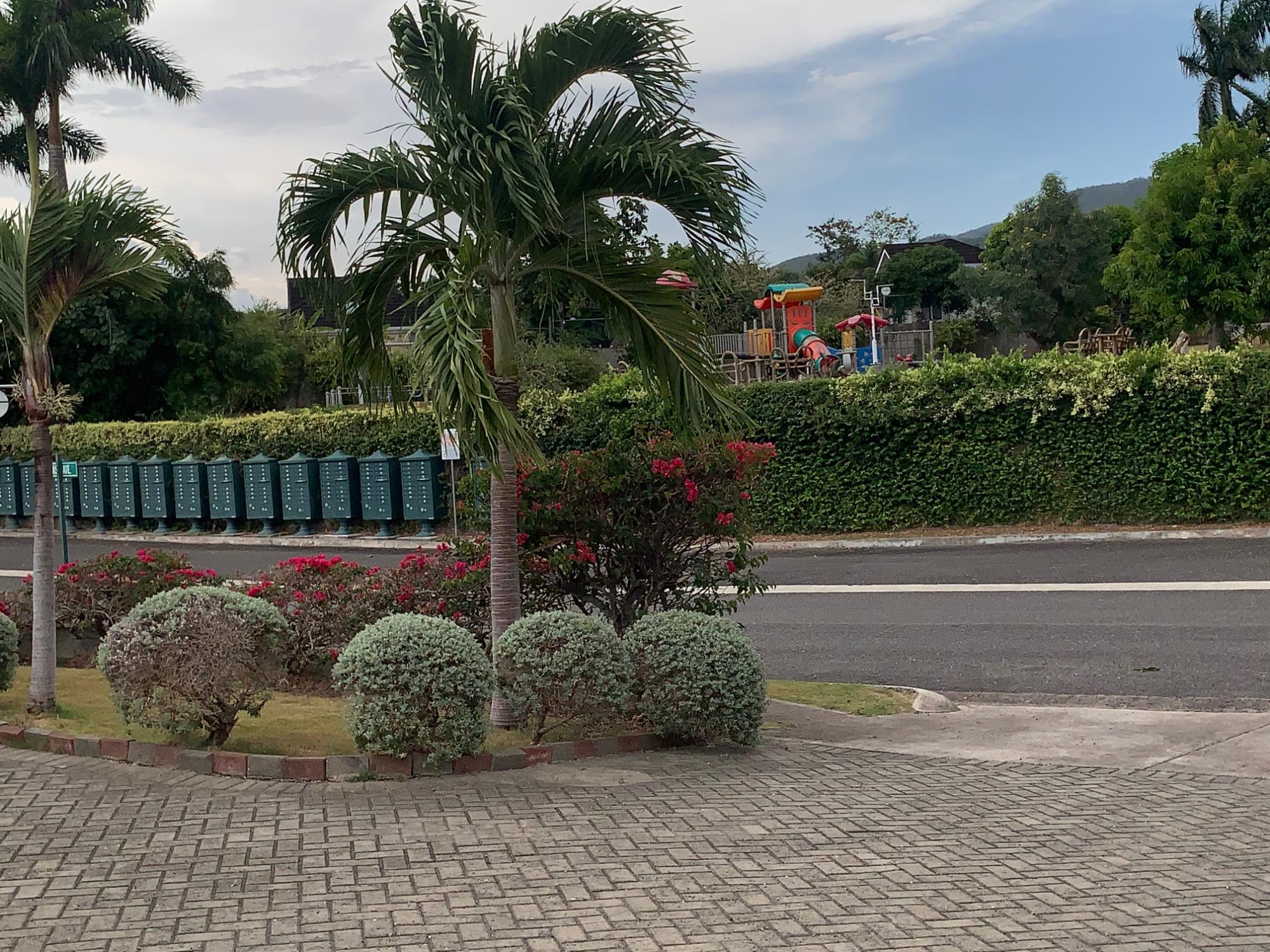 House For Rent: COOL SHADE, Laughlands | $1,400 photo 6