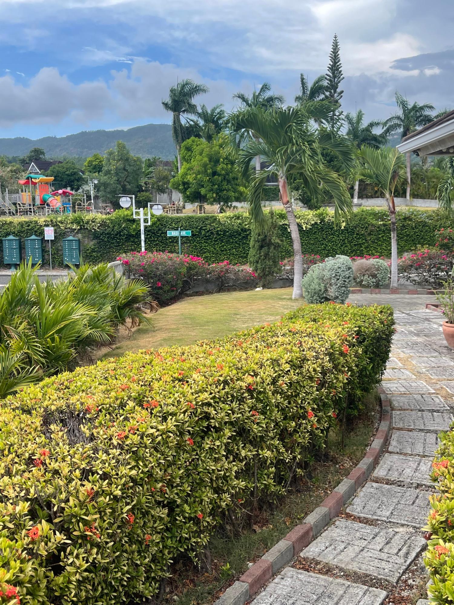 House For Rent: COOL SHADE, Laughlands | $1,400 photo 24