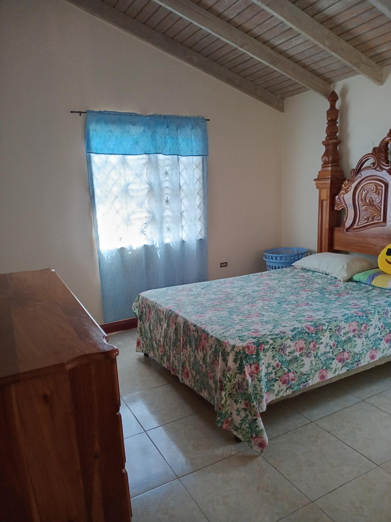 House For Rent: OSPREY AVENUE, FLORENCE HALL VILLAGE | $150,000 photo 14