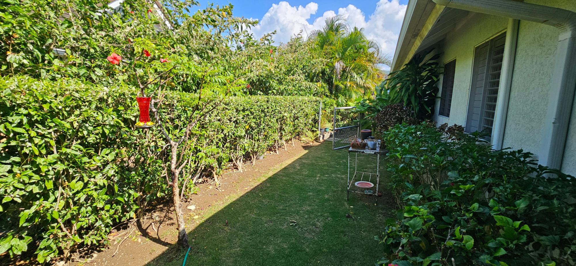 House For Sale: BAMBOO AVENUE, COOLSHADE,, Laughlands | $65,000,000 photo 6