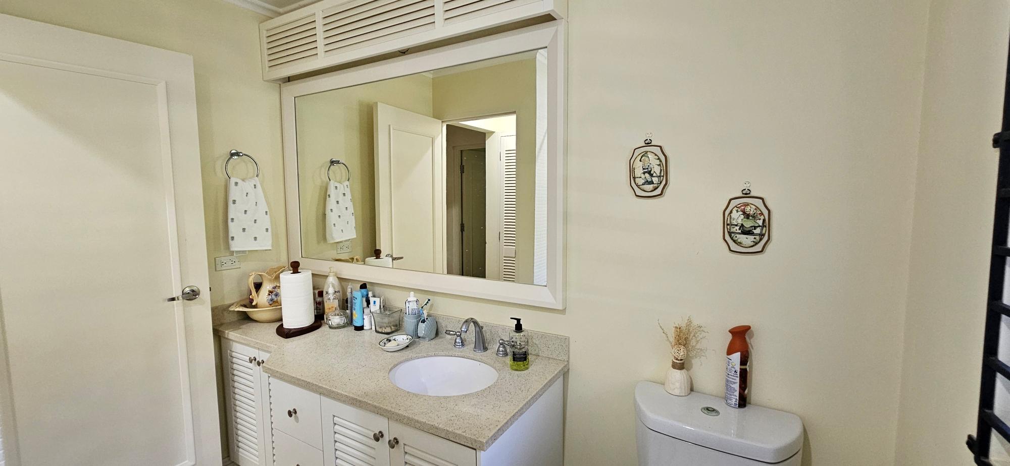House For Sale: BAMBOO AVENUE, COOLSHADE,, Laughlands | $65,000,000 photo 22