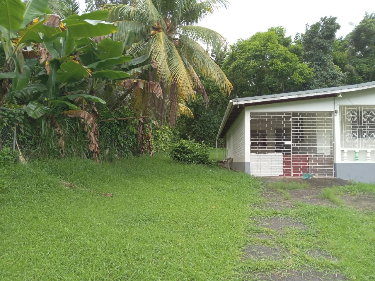 House For Sale: LLANRUMNEY , PORT MARIA,, Llanrumney | $160,000 photo 2