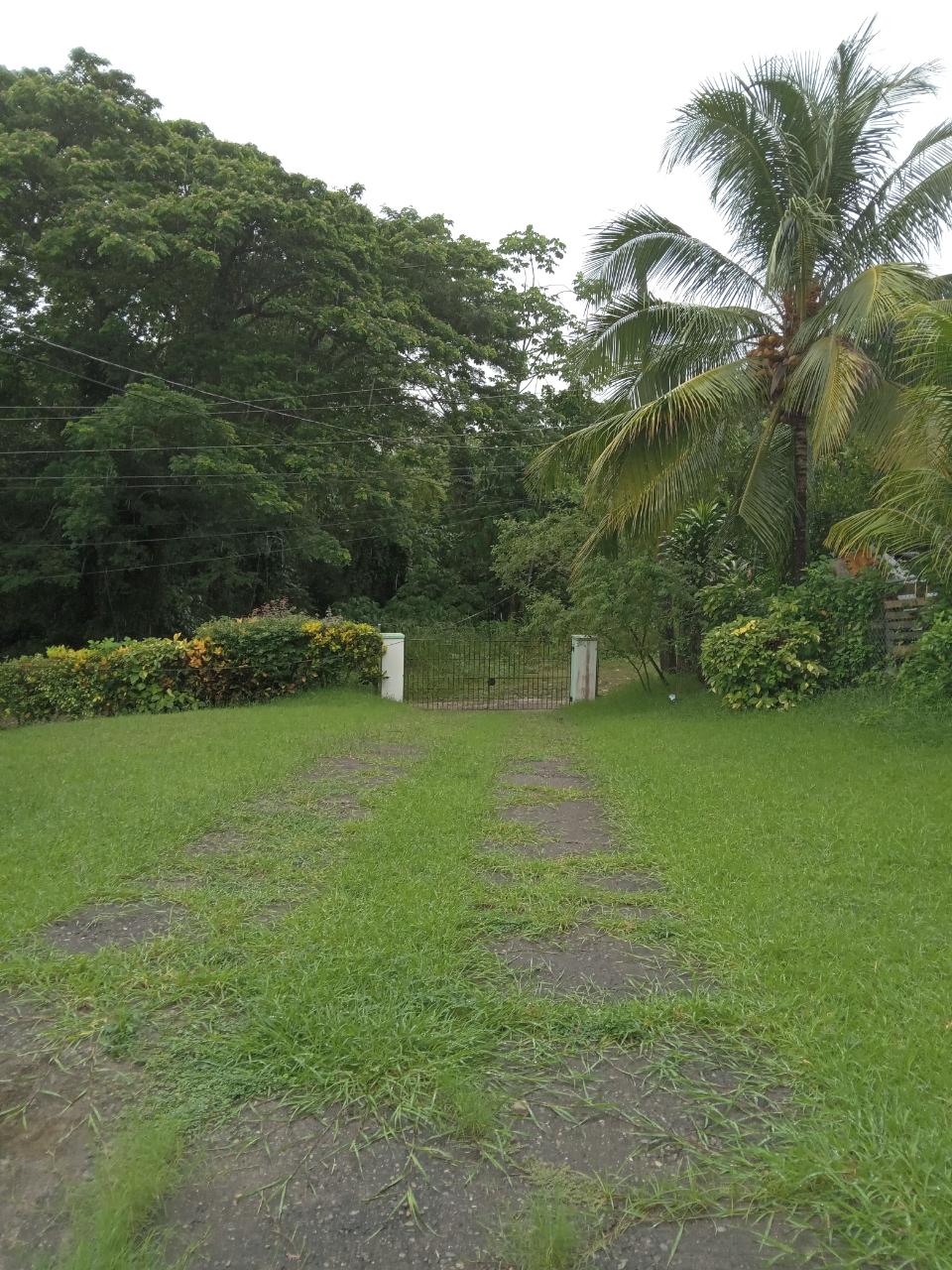 House For Sale: LLANRUMNEY , PORT MARIA,, Llanrumney | $160,000 photo 6