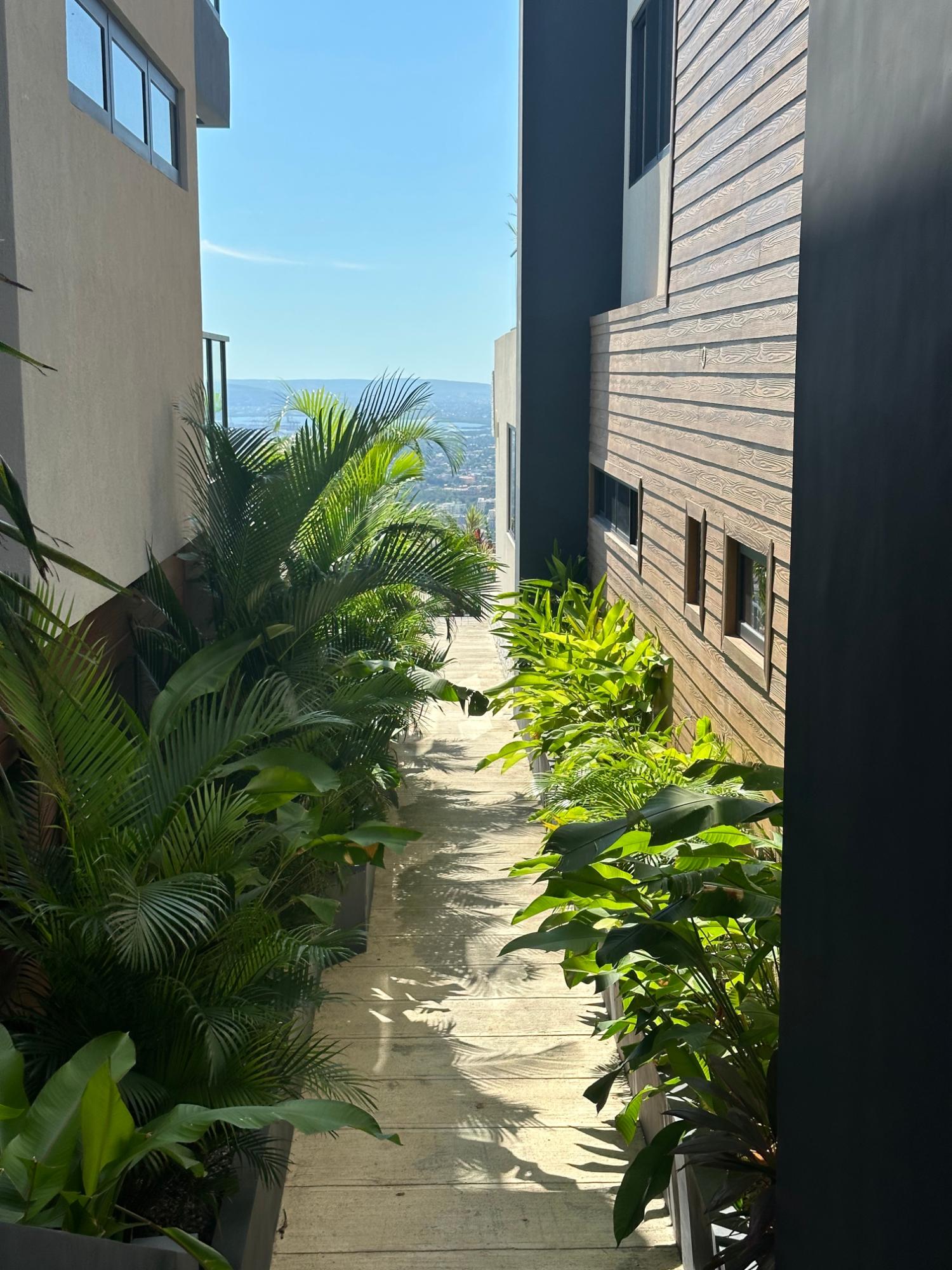 Apartment For Rent: SPYGLASS-TAVISTOCK, Kingston 6 | $3,200 photo 22