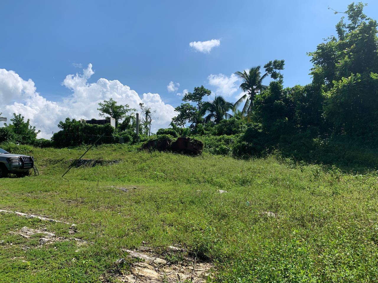 House For Sale: ANCHOVY, ST. JAMES, Anchovy | $25,500,000