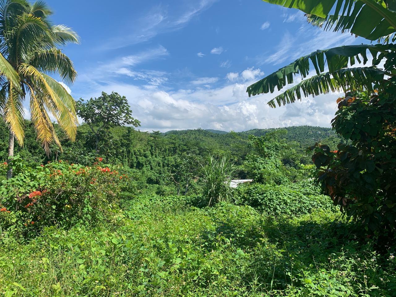 House For Sale: ANCHOVY, ST. JAMES, Anchovy | $25,500,000 photo 3