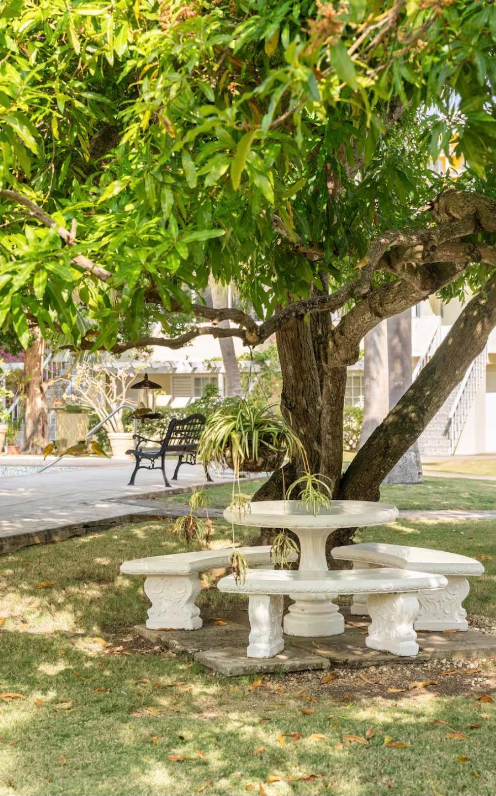 Apartment For Sale: SEAWIND ON THE BAY, Montego Bay | $360,000 photo 16