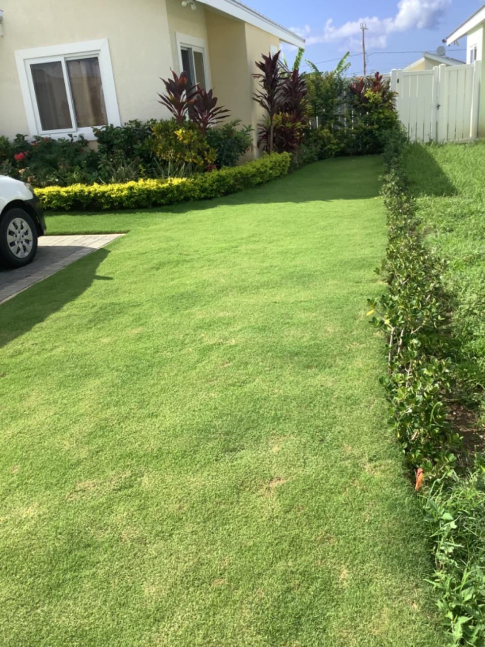 House For Rent: OCEANPOINTE, Lucea | $1,200 photo 2