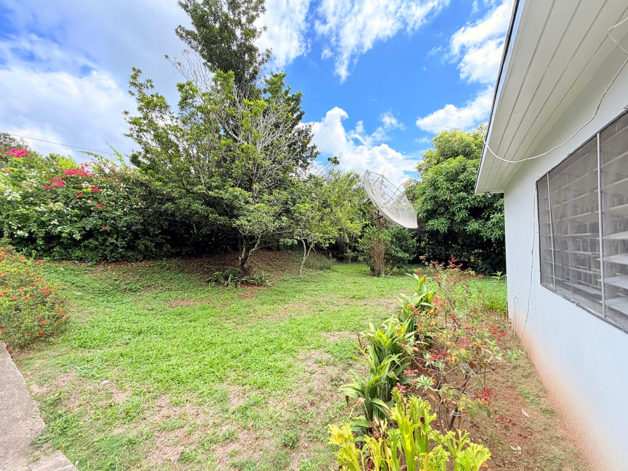 House For Sale: SAVOY TERRACE, Kingston 8 | $75,000,000 photo 2