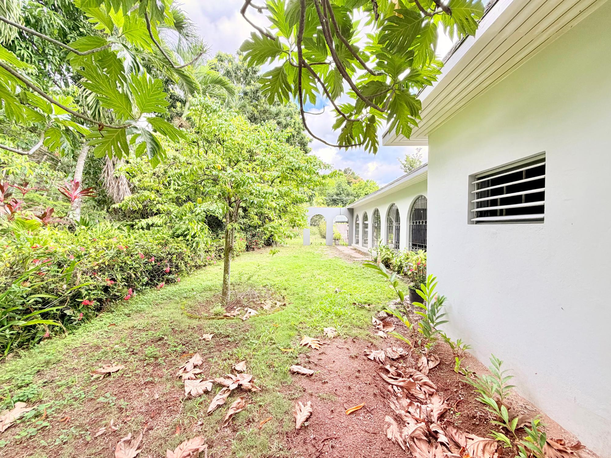 House For Sale: SAVOY TERRACE, Kingston 8 | $75,000,000 photo 5
