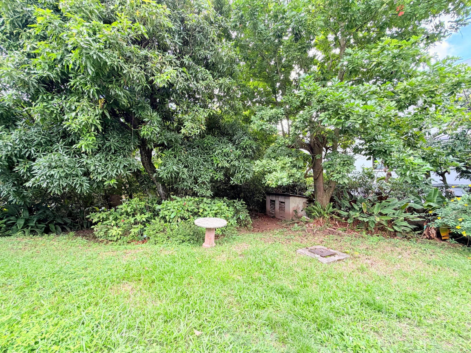 House For Sale: SAVOY TERRACE, Kingston 8 | $75,000,000 photo 15